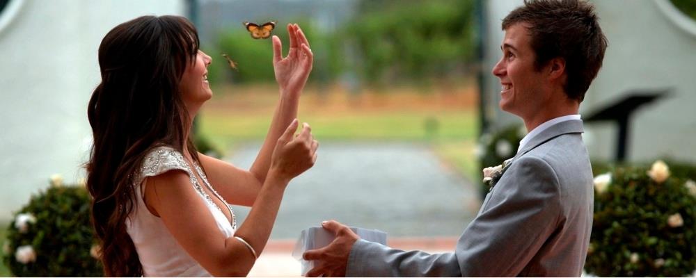 тропические бабочки на свадьбе