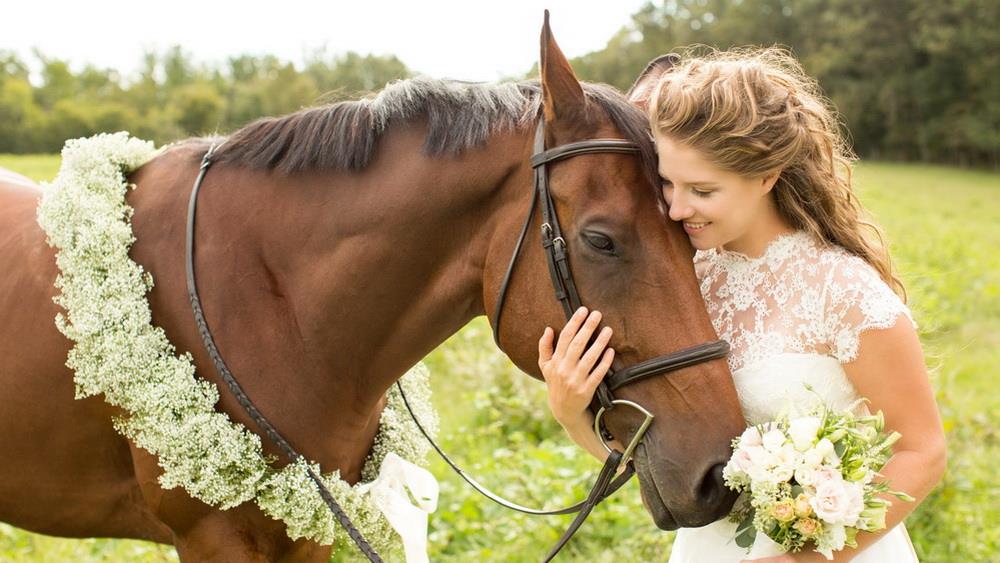 лошадь на свадьбе